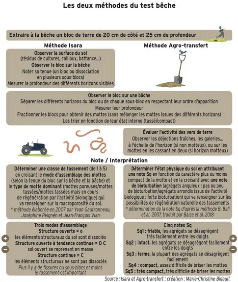 infographie des méthodologies pour faire un test bêche dans ses sols
