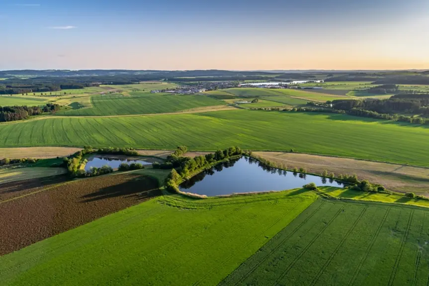 Paysage agricole, parcelle de cultures