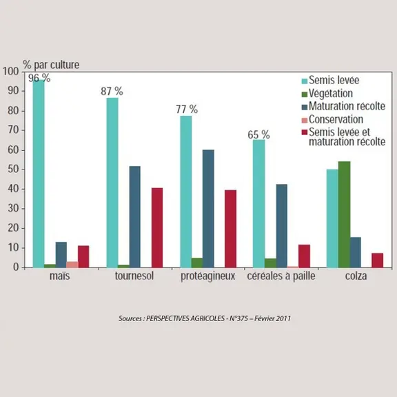 Graphique pespectives agricoles