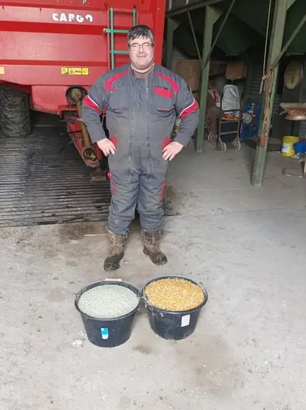 Thomas Pointereau dépose des grains de pois et de maïs en petit tas en bordure de ses maïs, tous les 100 à 150 mètres.