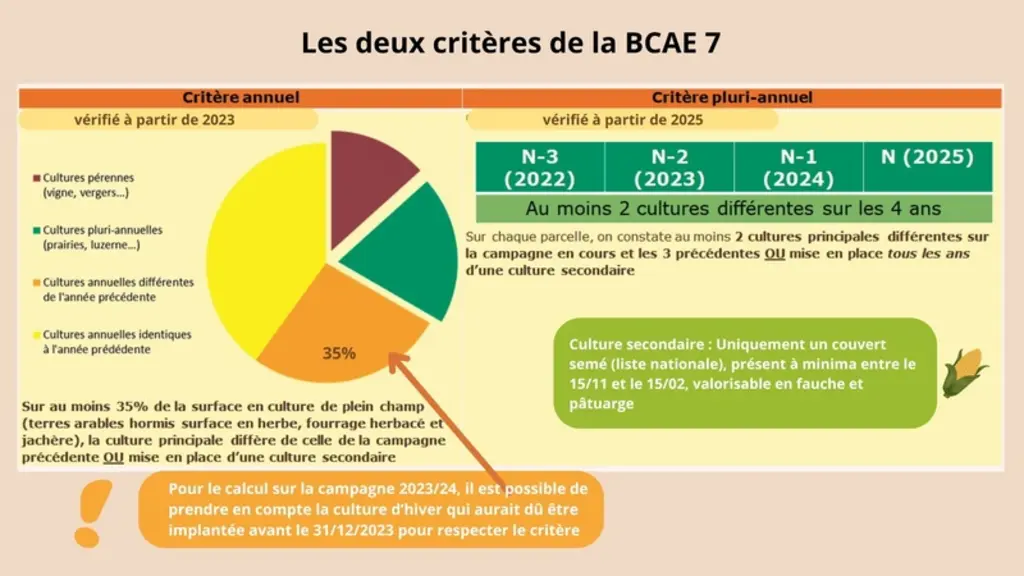 Schéma descriptif des changements concernant la rotation des cultures dans la PAC pour les déclarations pac 2024