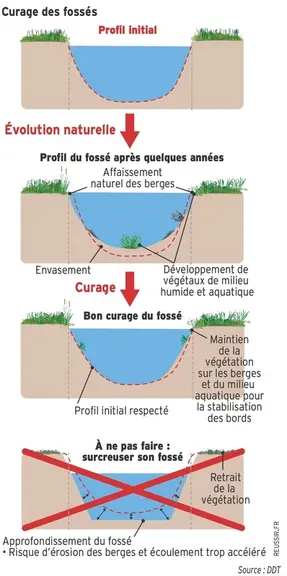 <em class="placeholder">Fossé : comment l'entretenir dans les règles ?</em>