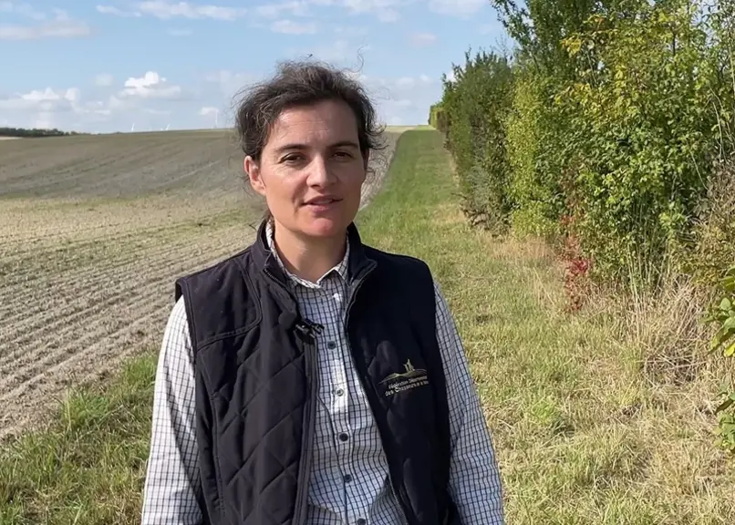 Solène Allart, FDC51" En vue de son entretien de la haie, il est utile de porter un regard régulier sur sa haie qui peut