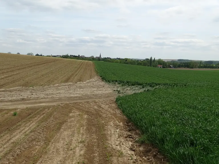 Sans obstacle dans les pentes (fascines, haies...), des ravines se créent suite à des intempéries avec de la perte de terre.</