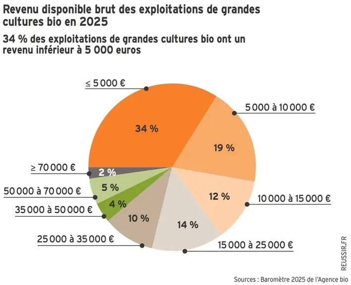 <em class="placeholder">Graphique - Revenu disponible brut des exploitations de grandes cultures bio en 202534 % des exploitations de grandes cultures bio ont un revenu inférieur à 5 000 euros.</em>