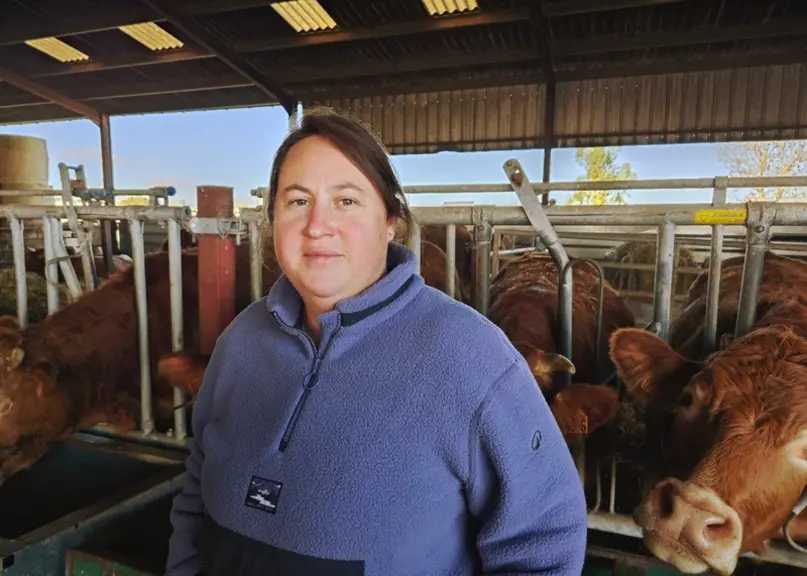 L'éleveuse Delphine Charmard devant ses vaches limousines.