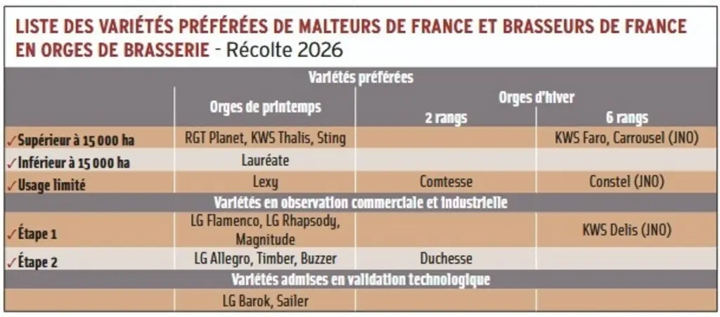 <em class="placeholder">Orge de printemps brassicole : la variété RGT Planet a-t-elle trouvé son successeur ?</em>