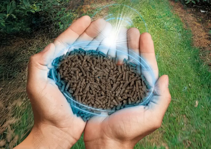 <em class="placeholder">Nouveautés cultures : inscriptions de variétés de céréales et protéagineux et un fongicide en semences de tournesol</em>