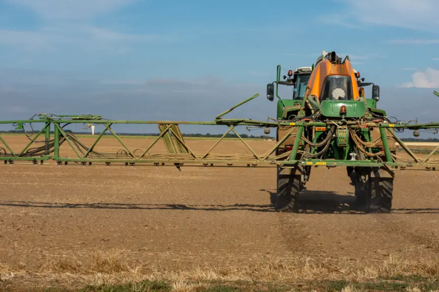 En traitement de prélevée, les produits à base de DMTA-P sont les plus performants contre le ray-grass.