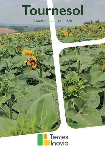 <em class="placeholder">couv tournesol</em>