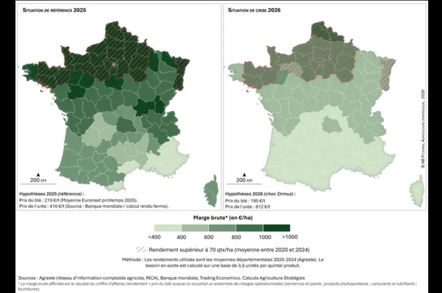 <em class="placeholder">Modélisation de l’évolution de la marge brute à l’hectare pour la culture du blé entre 2025 et 2026

</em>