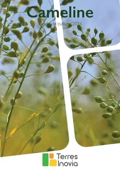<em class="placeholder">Nouveautés cultures : de nouvelles orges pour la filière brassicole et une dérogation contre la cercosporiose</em>
