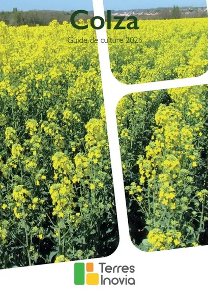 <em class="placeholder">Nouveautés cultures : de nouvelles orges pour la filière brassicole et une dérogation contre la cercosporiose</em>