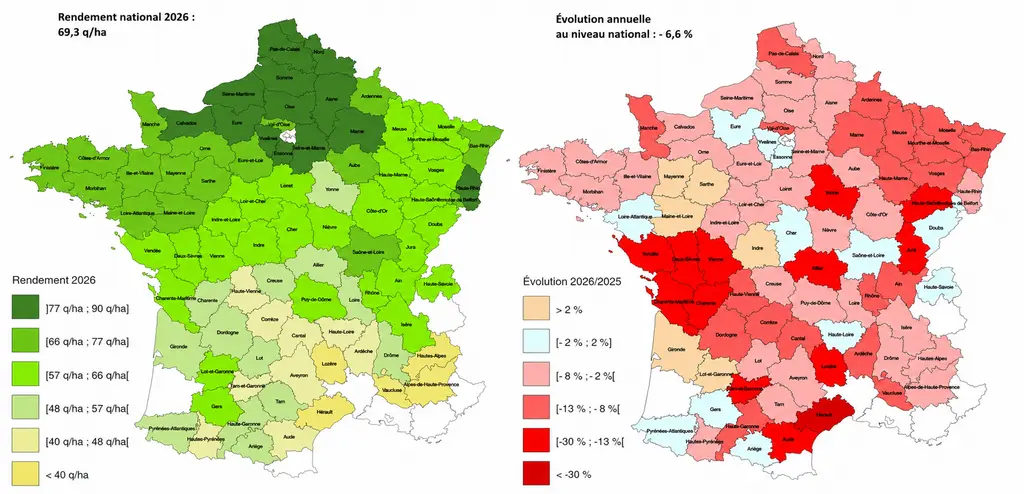 carte rendement du blé tendre en 2026 et évolution par rapport à 2025, par département