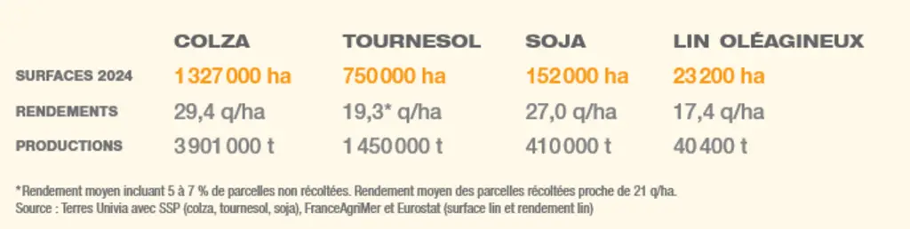 bilan oléagineux en France en 2024