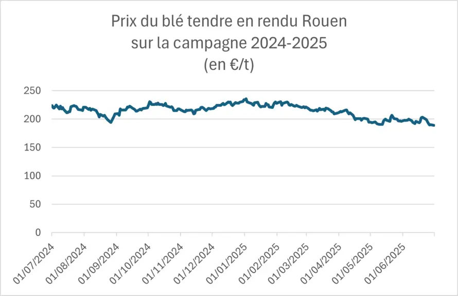 Prix du blé tendre en rendu Rouen sur la campagne 2024-2025 (en €/t).