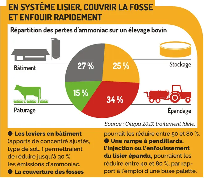 Répartition des pertes d'ammoniac sur un élevage bovin
