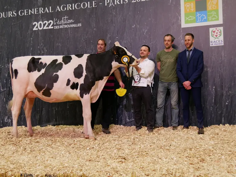 Jbtoullec Pixistorm (Thundersto) - Gaec Toullec dans le Finistère - Championne espoir
