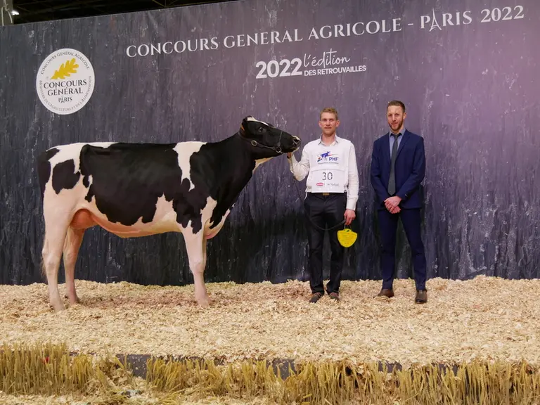 Coum Jisa (Chief Stan) - Gaec de la Coumière en Haute-Marne - Championne réserve espoir