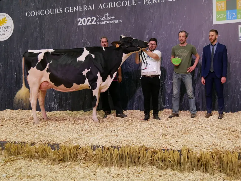 Jbtoullec Chief Roxe (Chief Stan) Gaec Toullec et Gaec Madec dans le Finistère - Championne réserve jeune