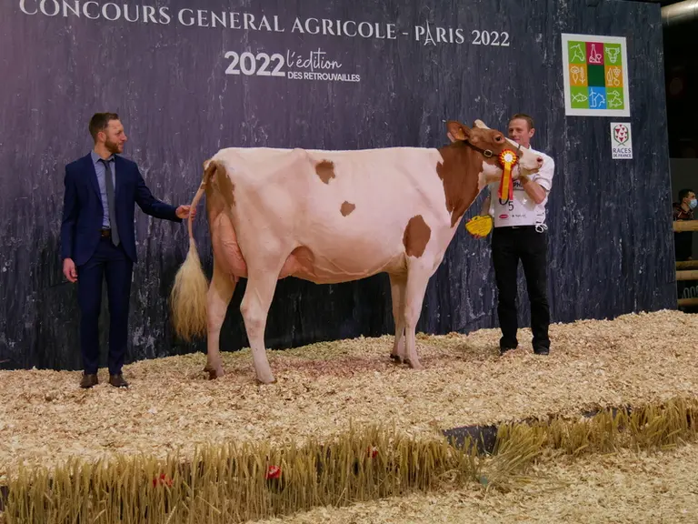 Wilt Alina (Bad Rc) - Gaec Wilt dans le Bas-Rhin - Meilleure mamelle rouge