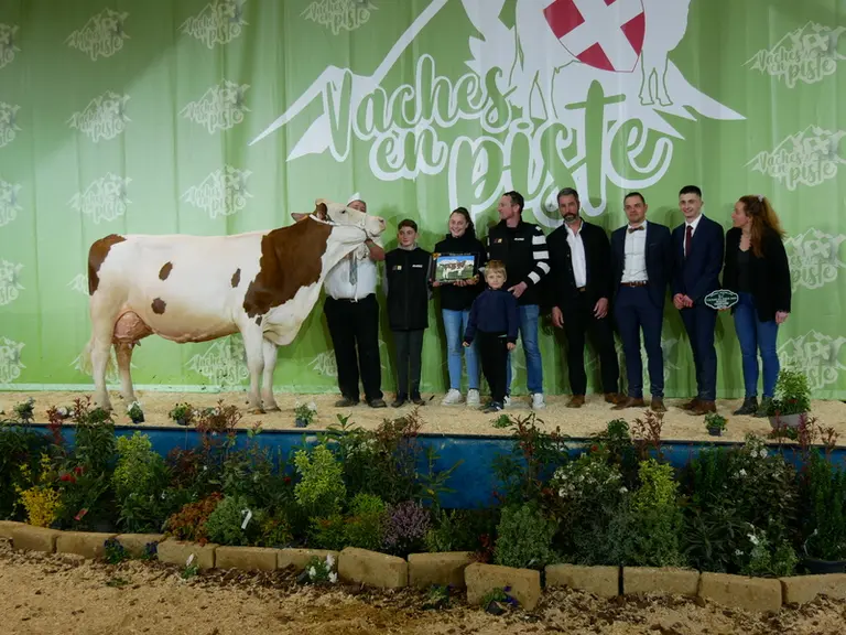 Luxueuse (Cargo) - Gaec Grangeot Poncey en Haute-Saône - Réserve championne sénior