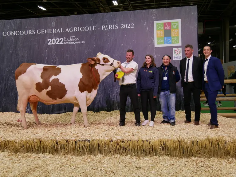 Puce (Jiteuf JB) Gaec élevage Morel -Puy-de-Dôme - Championne jeune