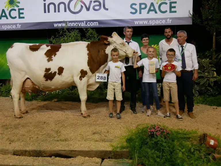 Hexode (Vigor jb) - Earl Dabo en Mayenne - championne adulte et meilleure laitière