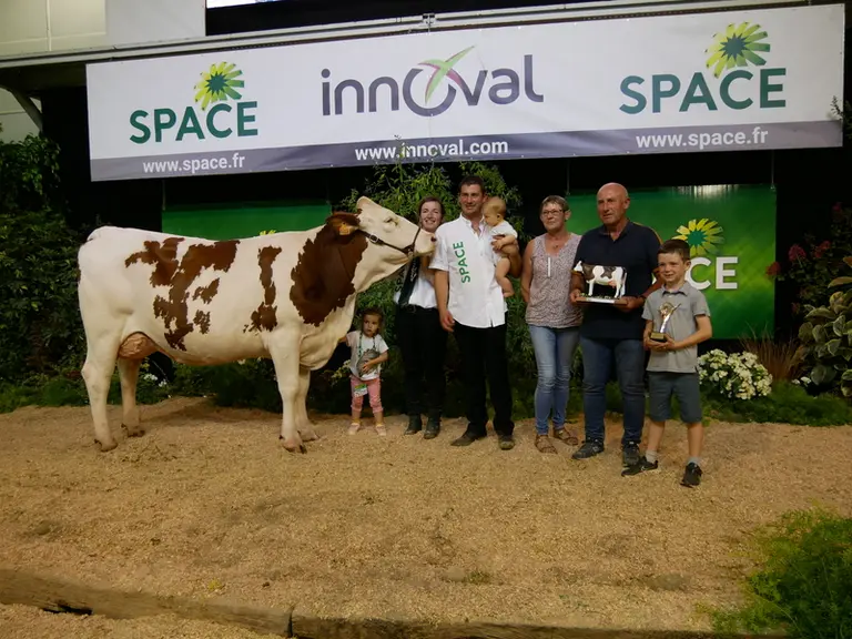 Perenne (Noëlcerneu) - Gaec Le Febvrier dans le Morbihan - Réserve Grande championne