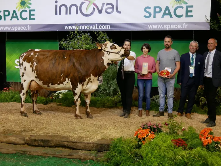 Macumba (Concarno) - Earl Piou Ciron dans le Maine-et-Loire - Meilleure mamelle et prix d’honneur Adulte