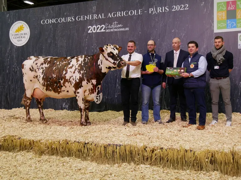 Lazone EC (Guarana) - Gaec Cahorel dans la Manche -  Grande championne, championne et meilleure adulte