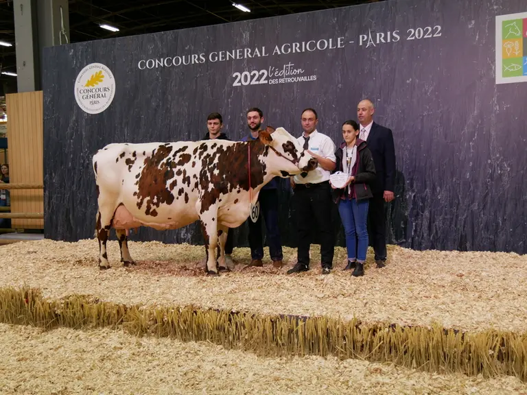 Hamiltone (Alma) - Gaec VB Huberson dans la Sarthe - Meilleure laitière et fromagère