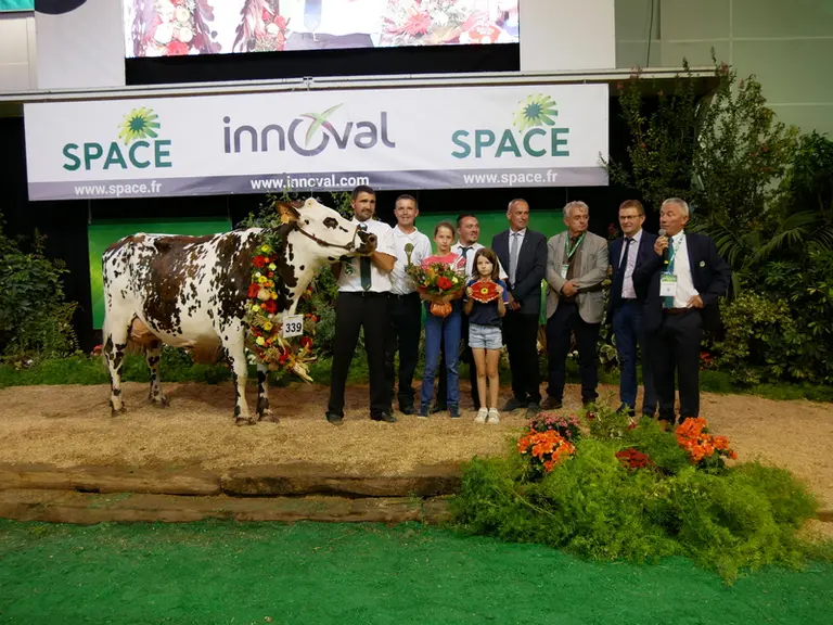 Olande (Losangeles) – Gaec Ferme la Roche aux Fées en Ille-et-Vilaine- Prix d’honneur jeune et Grande Championne