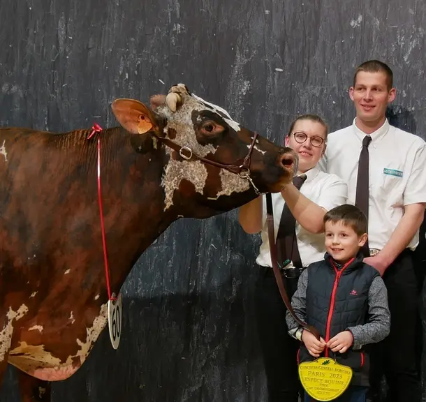 Salon de l'Agriculture : Hamada à l'Earl Allix dans la Manche couronnée à Paris.