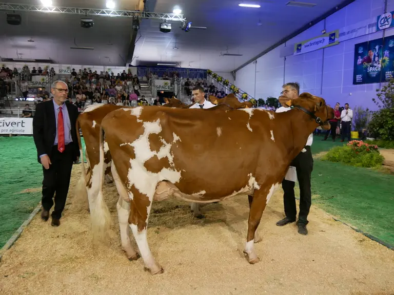 Rémi Guennoc, le juge du concours