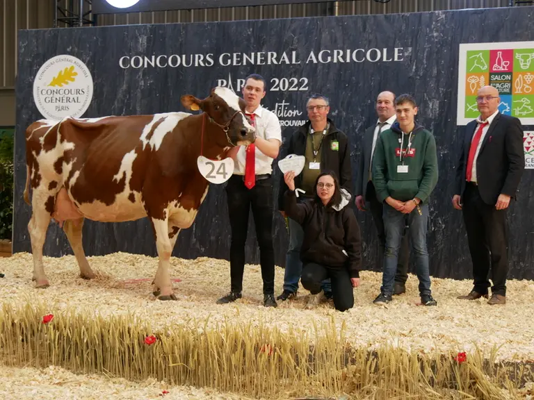Jacinthe (Carmano R) - Gaec Pirou dans le Finistère - Meilleure laitière