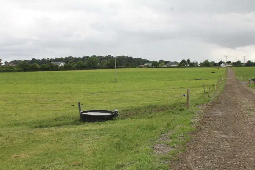 Les paddocks de 1,5 à 2 hectares et leurs accès sont parfaitement aménagés pour optimiser le pâturage. Un rendement de 16 t de MS/ha d'herbe est visé.