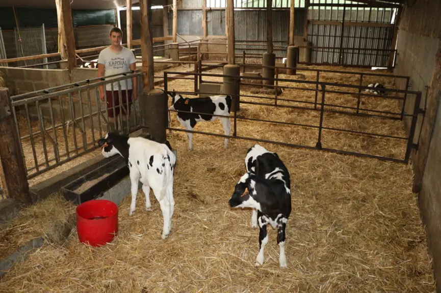 Le frère d’Alexandre est embauché comme salarié à mi-temps sur la ferme. © E. Bignon