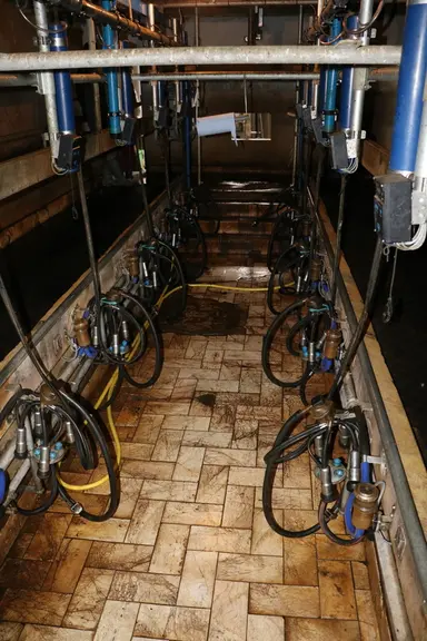 Dans la salle de traite 2X5, Alexandre a installé le décrochage automatique. © E. Bignon