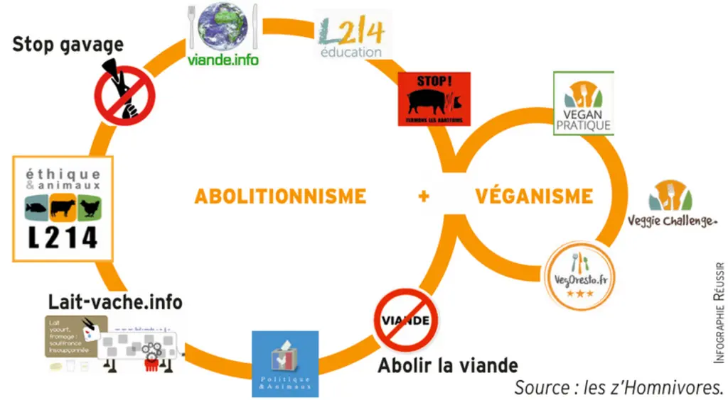 © Infographie Réussir