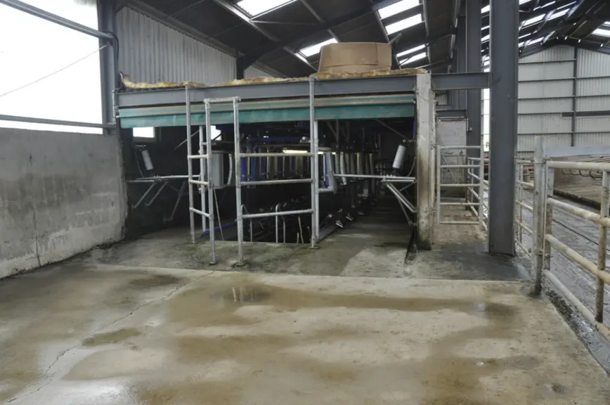 Un couloir de contention accessible en sortie de salle de traite permet d’isoler une vache et de l’amener dans un des box situés en prolongement de l’
