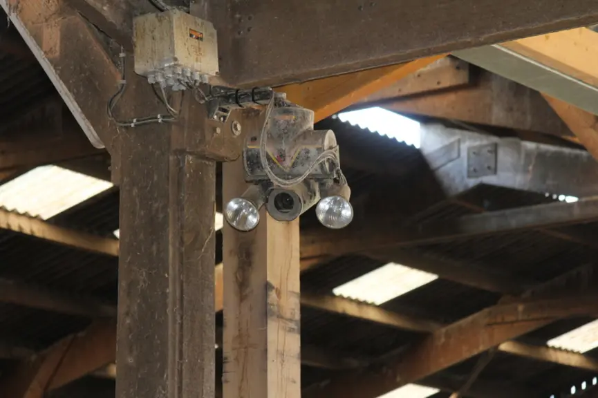 Des caméras et le système de détection Smartvel sont utilisés pour surveiller les vêlages. © F. Mechekour
