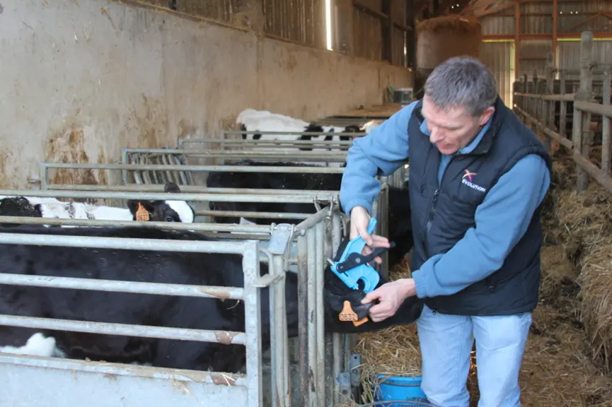L’avènement de la sélection génomique en 2009 a donné un sérieux coup de pouce au progrès génétique sur les critères de rusticité. © F. Mechekour