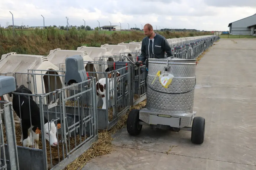 Les veaux logent en niches individuelles jusqu’à 15 jours, puis en niches collectives par lots de cinq génisses. La distribution du lait s’effectue av