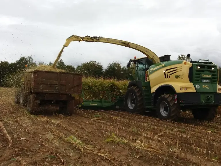 Passer d’un différentiel de vitesse de 30 % à 40 % a permis d’améliorer l’éclatement du grain de 5 points d’IFG. © Elvup