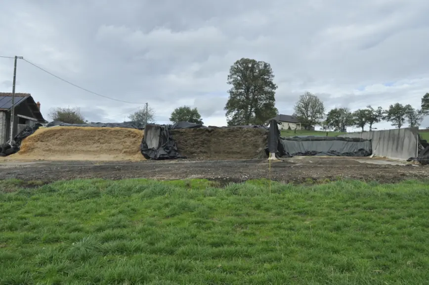Habituellement, le silo de droite est plein de maïs et l’ensilage dépasse les murs de 50 cm. © B. Griffoul