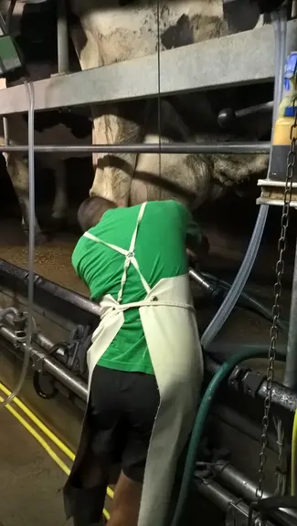 Et la posture à éviter, qui, répétée, est à l’origine de lombalgies et TMS. © MSA Ain-Rhône