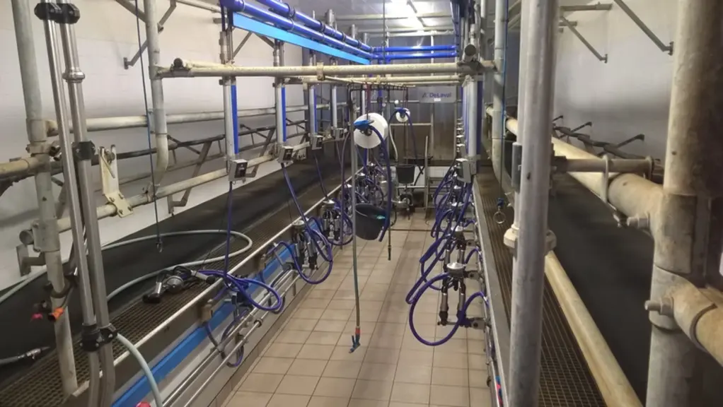 Douchettes et seaux suspendus, rouleaux de papier à portée de main, escalier sécurisé... Une salle de traite fonctionnelle et ergonomique. © MSA Ain-Rhône
