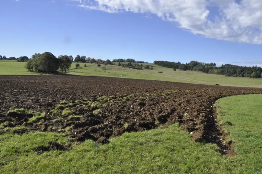 En Franche-Comté, des éleveurs ont réintroduit des céréales dans l’assolement. Le labour permet de déstructurer les populations de campagnols. © B. Gr