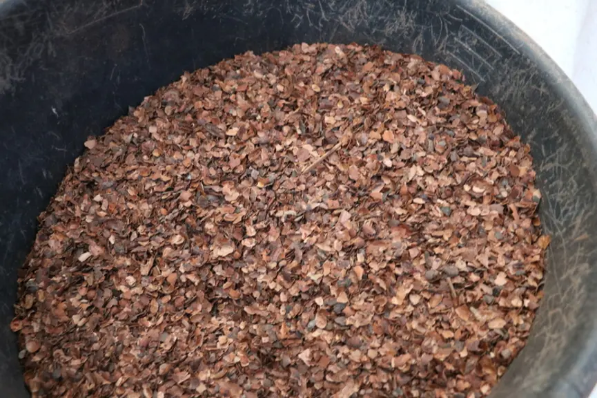 Les 400 grammes de cacao de la ration permettent de booster le TP.  © A. Conté